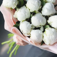 Author's bouquet of white peonies