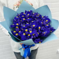 Bouquet. Irises. 25 pcs.